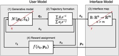 A Framework for Optimizing Co-adaptation in Body-Machine Interfaces